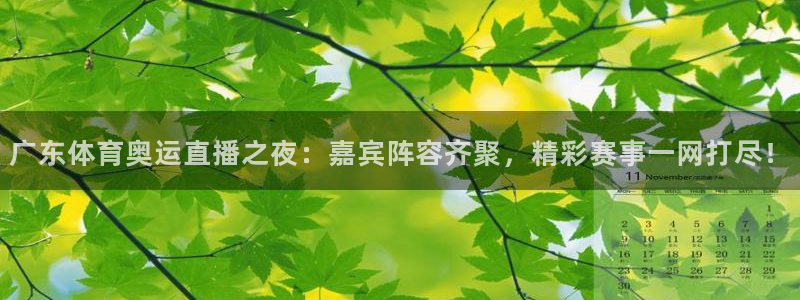 篮球比赛直播在线观看球吧网：广东体育奥运直播之夜：嘉宾阵容齐聚，精彩赛事一网打尽！