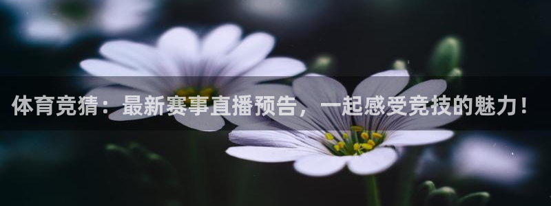看球吧直播在线入口：体育竞猜：最新赛事直播预告，一起感受竞技的魅力！