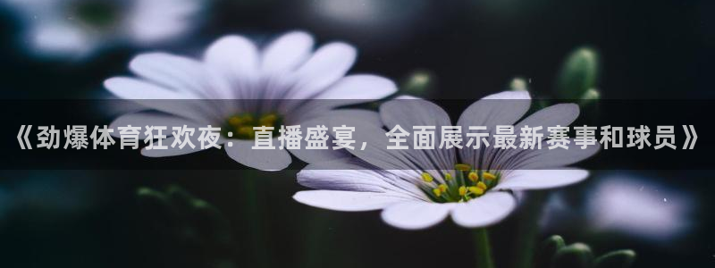 看球吧jrs直播nba：《劲爆体育狂欢夜：直播盛宴，全面展示最新赛事和球员》