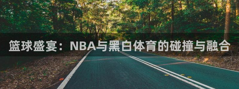 nba在线直播观看直播看球吧：篮球盛宴：NBA与黑白体育的碰撞与融合