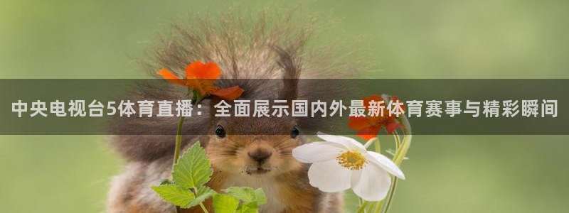 看球吧直播视频在线直播：中央电视台5体育直播：全面展示国内外最新体育赛事与精彩瞬间
