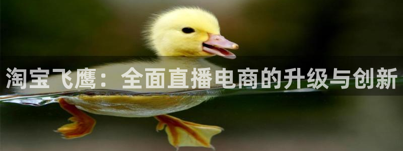 看球吧在线直播：淘宝飞鹰：全面直播电商的升级与创新