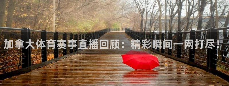 看球吧nba直播吧在线直播：加拿大体育赛事直播回顾：精彩瞬间一网打尽！